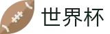 FIFA世界杯足彩(中国)官方网站 - 官方冠军冠亚军竞猜游戏入口